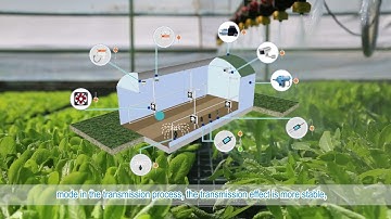 Smart Greenhouse - Smart greenhouse system