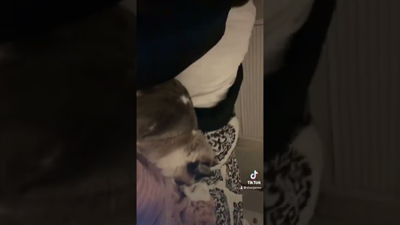 Miloh wouldn’t let CJ sleep in peace🤣