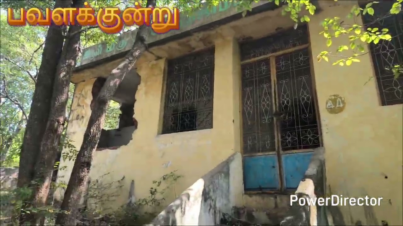 Parivarajaka participants enjoying the Pavalakundru experience 😊 #nithyananda #kailasa #spirituality