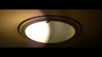 Confused Characters (Ensoniq Esq-1(Created Sounds))