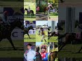 Highlights from Racing at hollywoodbets Durbanville