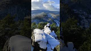 Toulky s Rajdou #Děčín #czechrepublic #followme 💗 #youtuber #shorts #travel #nature #photography