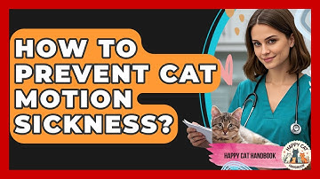 How To Prevent Cat Motion Sickness? - Happy Cat Handbook