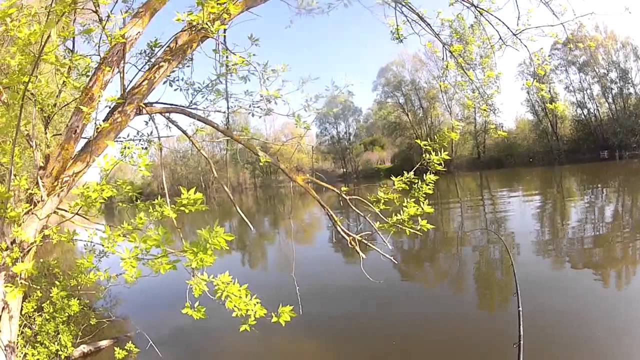 Áradásban a Dráván