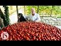 Spaghetti al pomodoro fresco: originale vs. gourmet con Peppe Guida e Nonna Rosa