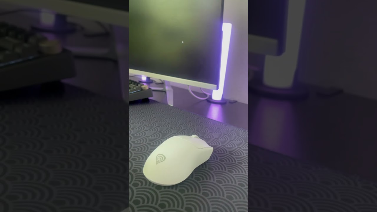 OZON: 1718433913 WB: 330962033 ЯМ: 5730554072