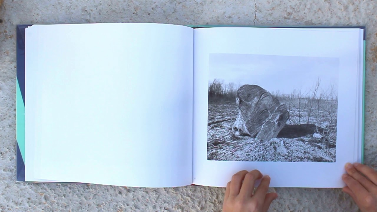 John Gossage - The Pond by Ron Glezer