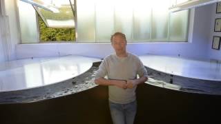 Modern Koi Blog #149 - How quickly do biofilters die?