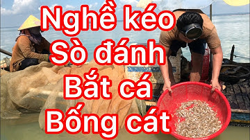 Khám phá nghành nghề đánh bắt cá bống cát (nghề kéo sò)trên hồ Trị An