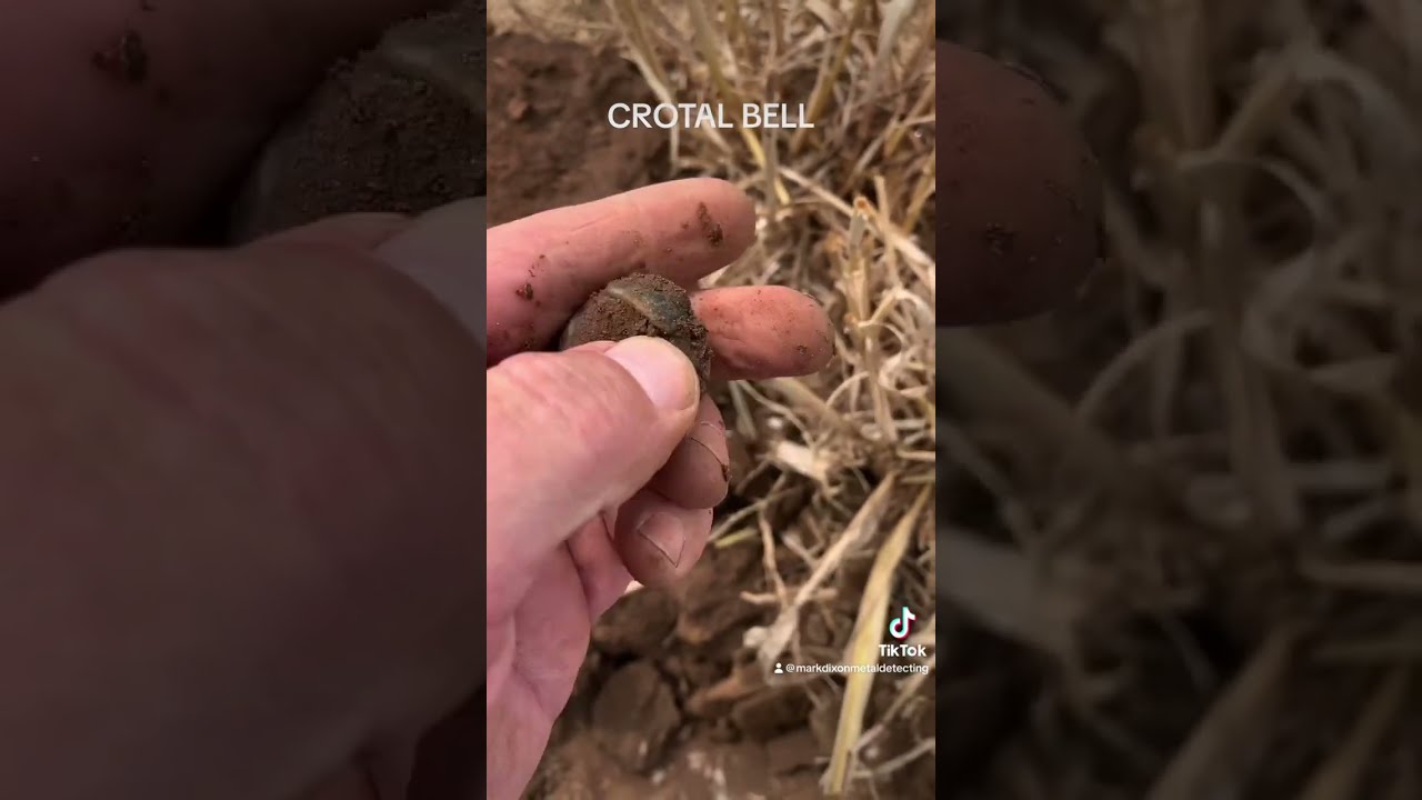 ANOTHER GREAT FIND Shorts Metaldetecting History Bell Hobby Find Metaldetector