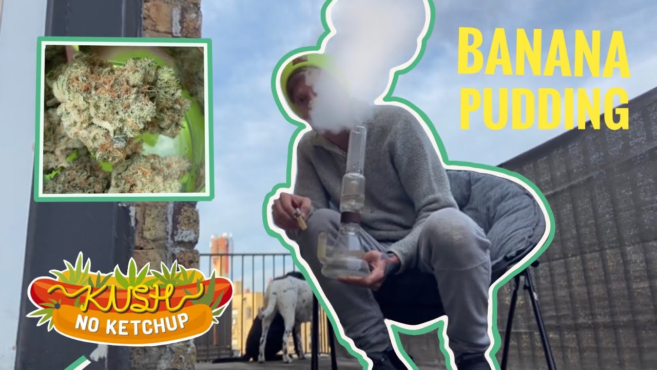 Banana Pudding Strain Review KUSH NO KETCHUP YouTube
