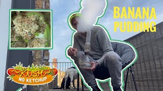Banana Pudding Strain Review | KUSH NO KETCHUP