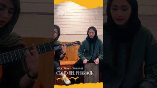 Experience The Magic Of Del Pharaon With Bita And Mahshid Negins Acoustic Guitar