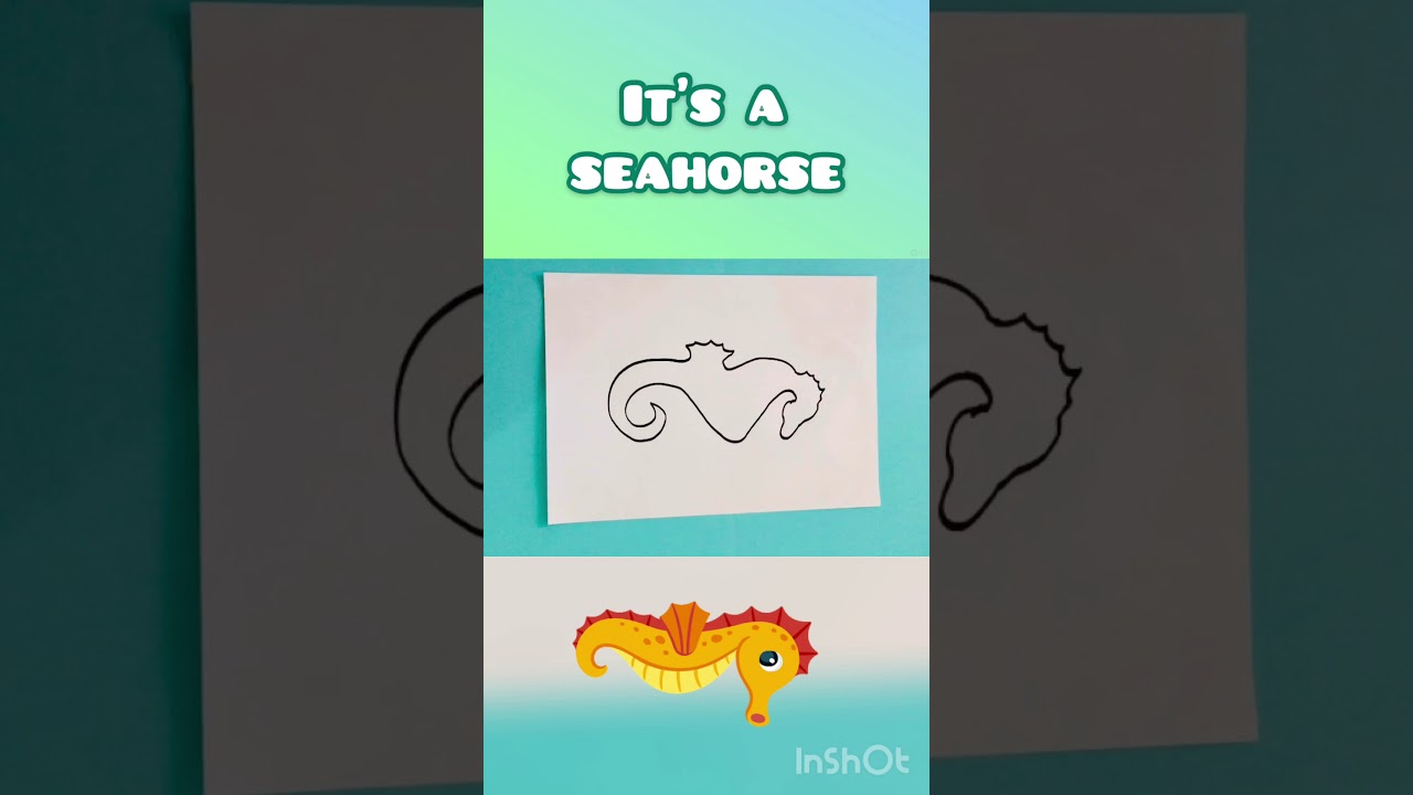 Sea Animals Guessing Game YouTube