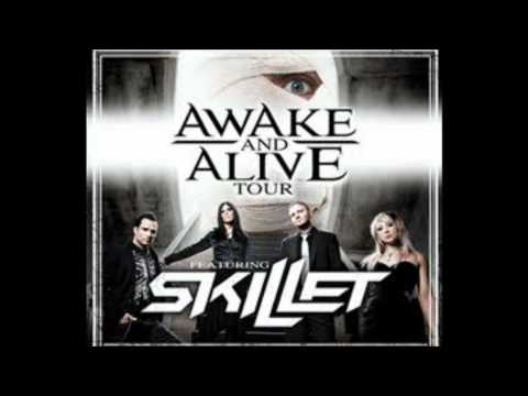 skillet awake and alive lyrics HD