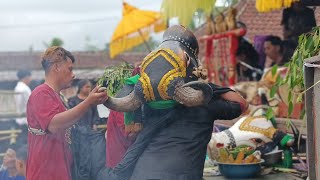 Seni Banteng Jowoan  Putro Sawunggaling Joyo Feat Satrio Suryo Nuswantoro darungan Wagir Malang 