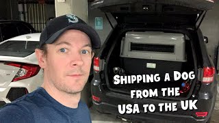Shipping & transporting your dog from the USA to the UK