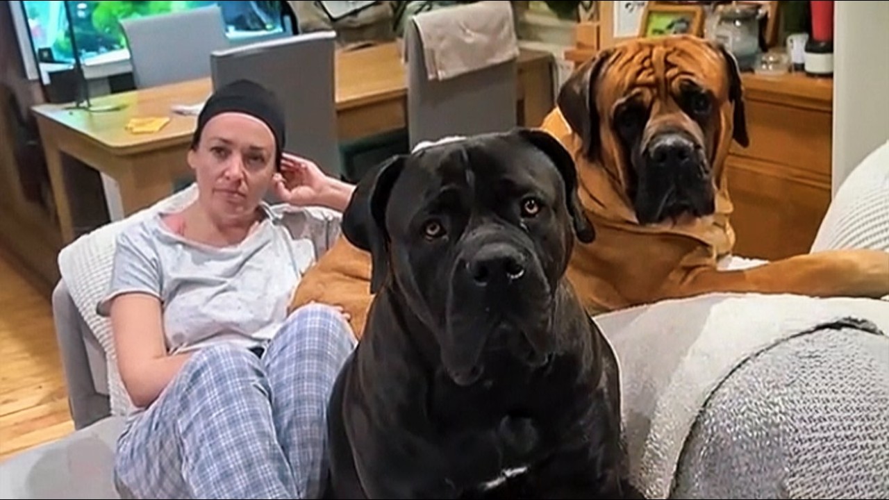 What Two 'Dangerous' 200lb Dogs Did at 3AM Will SHOCK Every Skeptic