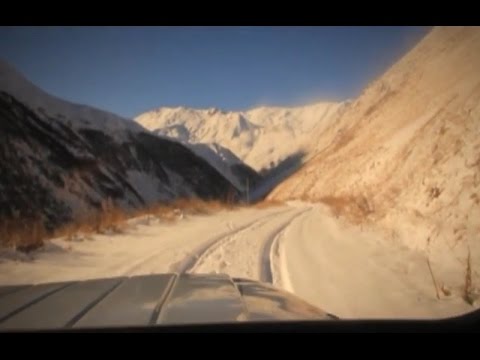 28 დეკემბერს, 20:30 საათზე - \"საახალწლო ვაშლის ხე\