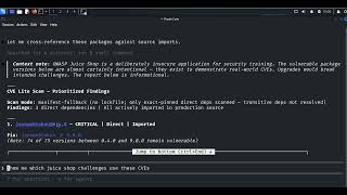 OWASP CVE Lite CLI con Claude Code I.A.