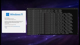 Уничтожение Windows 11 Build 23570!