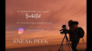 BRITISH WILDLIFE PHOTOGRAPHY BUCKET LIST | A quick look at what's to come in episode one by Drew Webb Wild 168 views 2 years ago 1 minute, 17 seconds