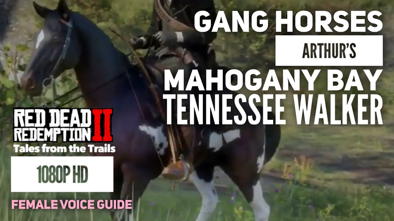 RDR2 Gang Horses Arthur's Mahogany Bay Tennessee Walker 1080p HD