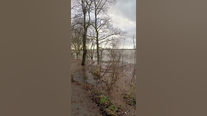 Hochwasser und Überschwemmungen in NRW #walkthrough #rhein #hochwasser #zoltan #walking