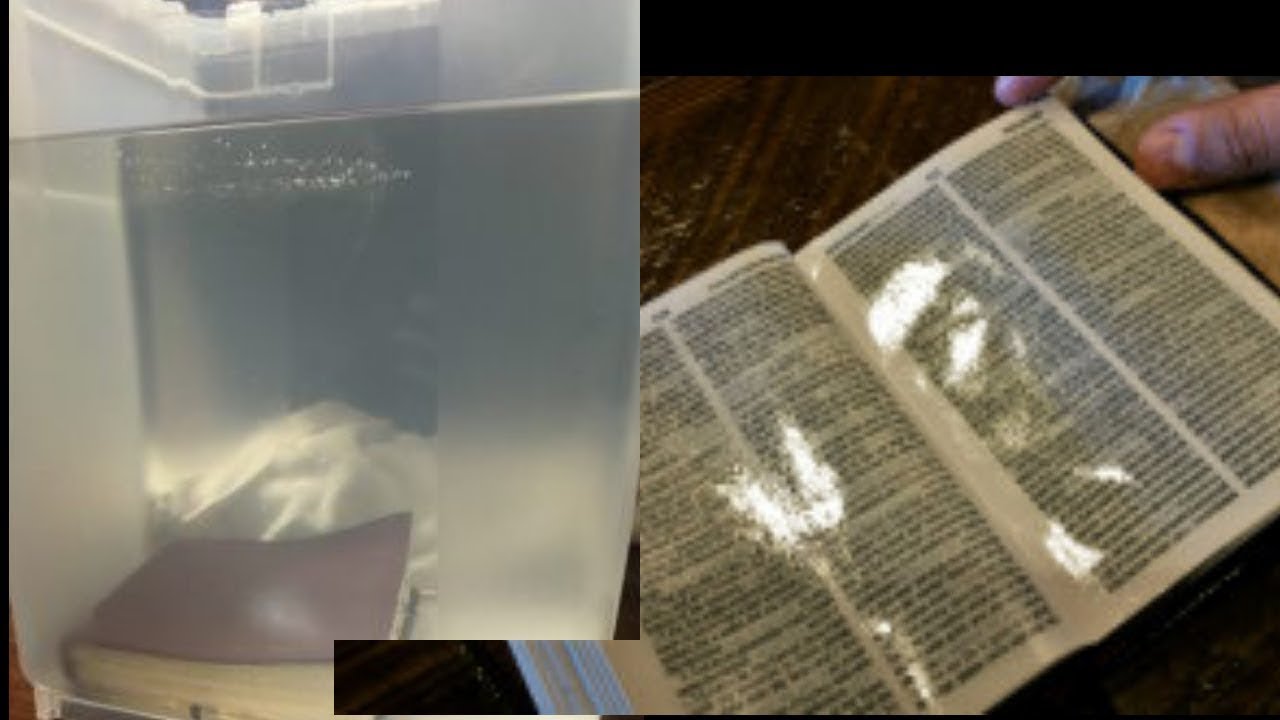 BIBLE LEAKING OIL - MESSIANIC RABBI ZEV PORAT EXPLAINS - YouTube