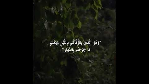 آيات بينات من سورة الأنعام "القارئ حسيكه عبدالنور "