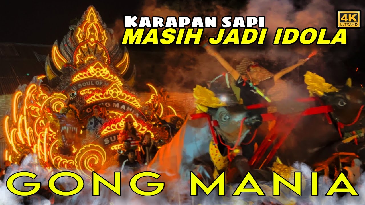 GONG MANIA KARAPAN SAPI ‼️