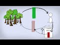 Ecosystem Valuation Quiz