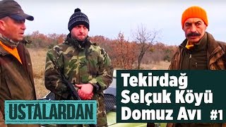 Selçuk Köyü Domuz Avı 1 Ustalardan  Yaban Tv - wildboar Hunting Turkey  Av Videoları