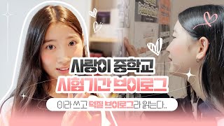 시험기간에 덕질하는 사랑이..?! (Feat.엑스디너리 히어로즈&스트레이 키즈) | 😍중학생 기말고사(?) 브이로그｜클레버TV