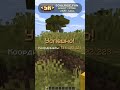 ⚡ Айпи: soulrise.fun ⚡ Тгк: t.me/soulrisefun ⚡ #funtime #soulrise #reallyworld #holyworld #анархия