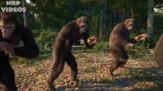 Whatsapp Status Jimikki Kamal....