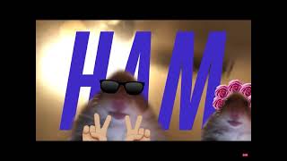 Download Lagu Hamster Gang MP3