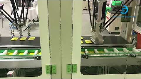 Spider robot hand bag sorting feeding convey machine running video