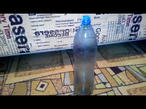 Простейшая мышеловка из бутылки за 1 минуту