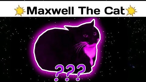 7 "Maxwell Cat" Sound Variations in 30 Seconds ‼️ Different Sound ‼️ 7 Variations ‼️