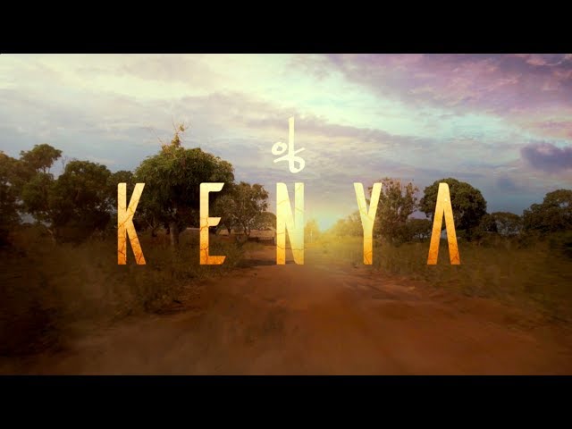 Cee-Roo - Feel The Sounds of Kenya class=
