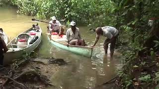 Guyane la re?serve naturelle des marais de Kaw Roura 1