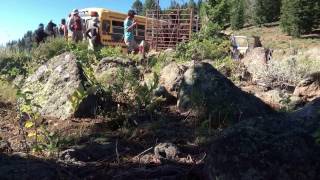 Wallowa Llamas Loading Llamas