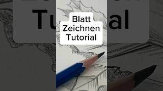 🍁 Leaf drawing tutorial – easy drawing exercise for beginners