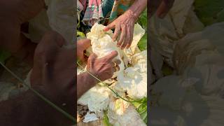 If You Add Too Much Water To The Pitcher, It Will Spoil