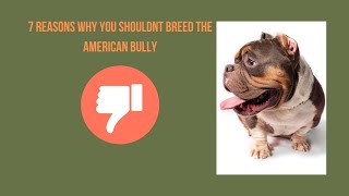 7 Reason Why You Should NOT Breed Dogs Especially American Bullies 7 Reason Why You Should NOT Breed Dogs Especially American Bullies