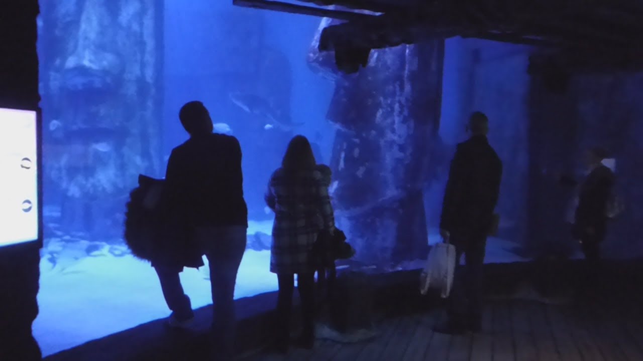 SEA LIFE London Aquarium | COMPLETE WALK THROUGH