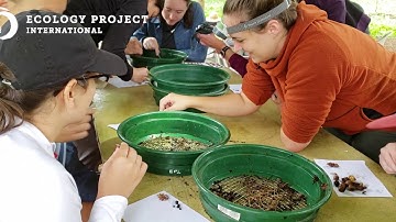 EPI Programs Bring NGSS Phenomena to Life