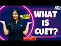 What is cuet  all details explained  must watch  anushya