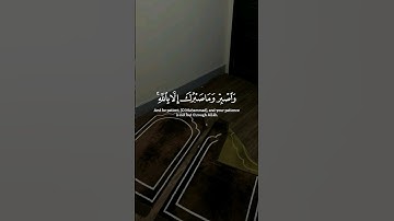 ماهر المعيقلي | #سورة_النحل #قرآن #القرآن_الكريم #قران_كريم #quran